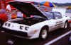 80nascar.jpg (34064 bytes)